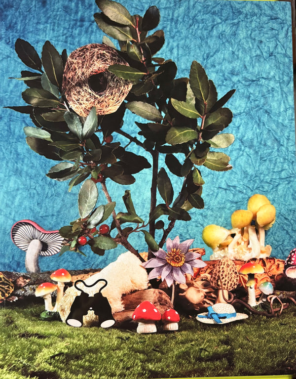 Full of Wonder Print by OK Artist Sarah Black