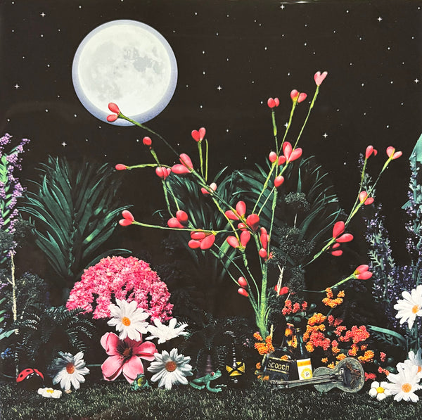 Summer Nights Print by OK Artist Sarah Black